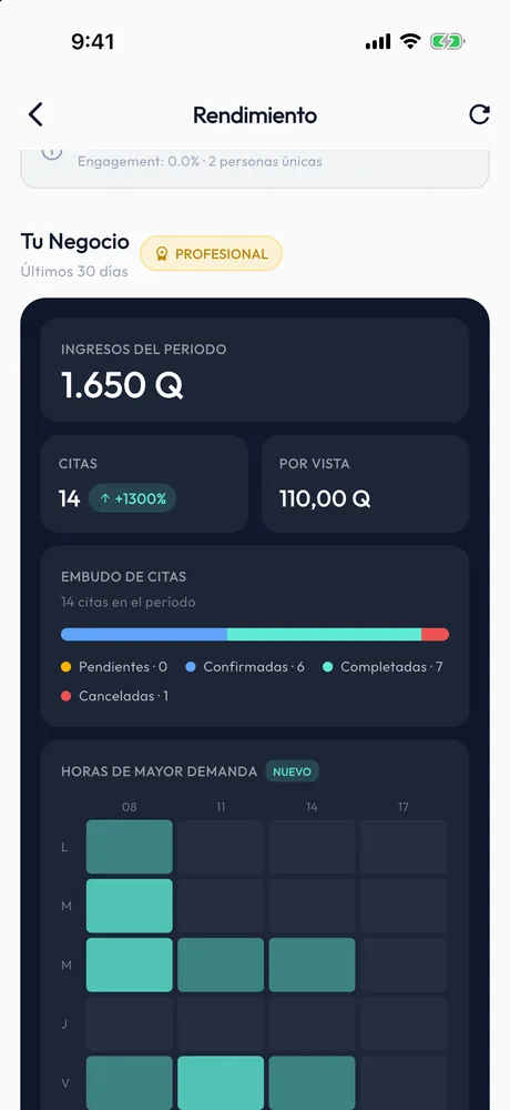 Estadísticas del profesional