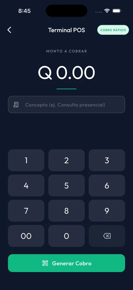 Terminal POS